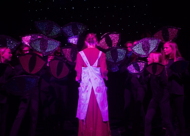 Eilidh faces the Cats of Cat Mountain